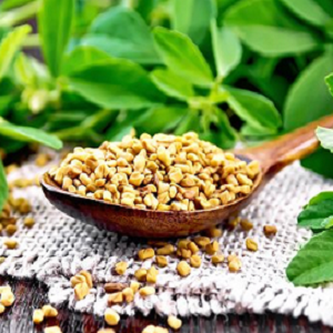 Fenugreek